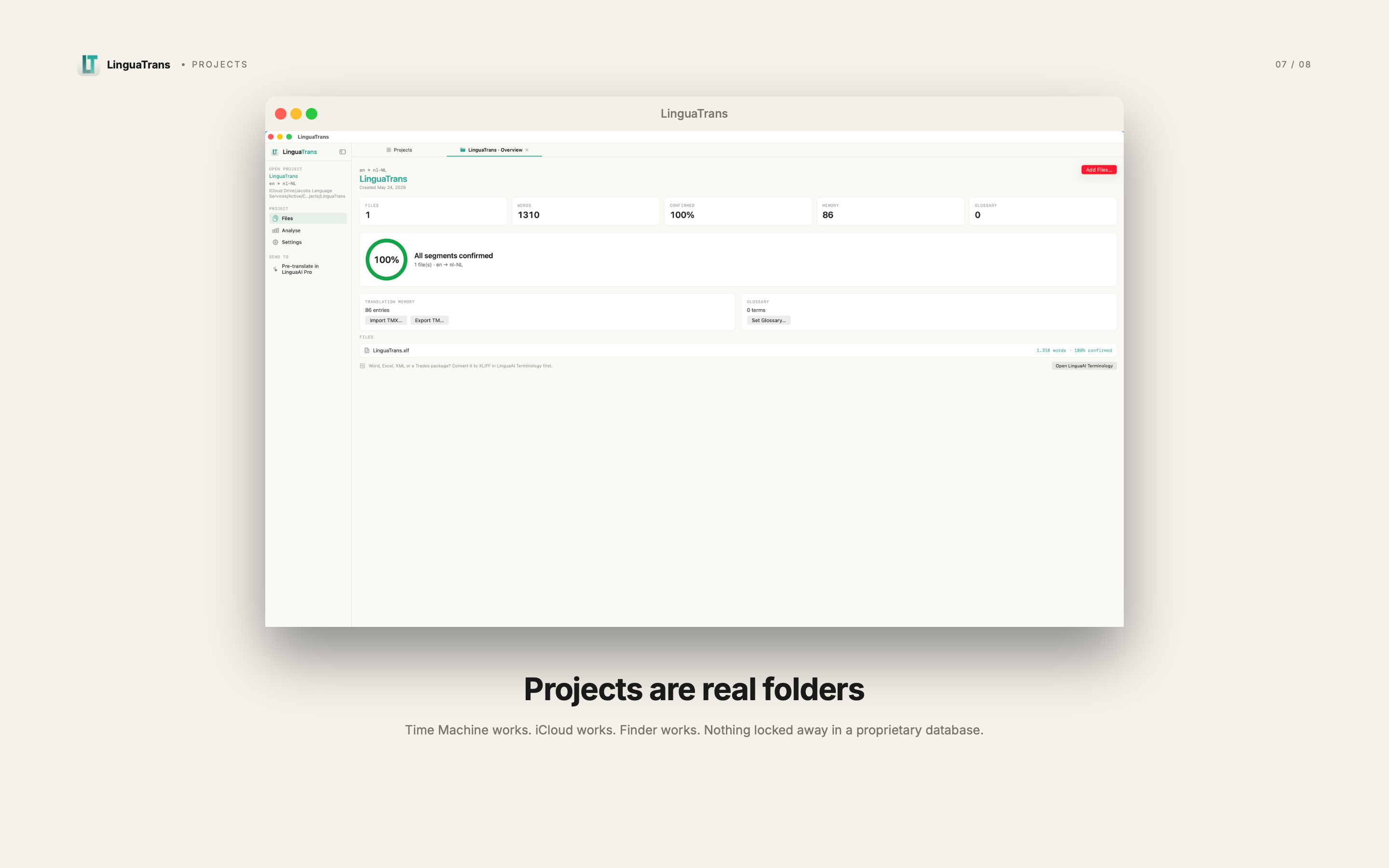 LinguaTrans project overview with progress and file management