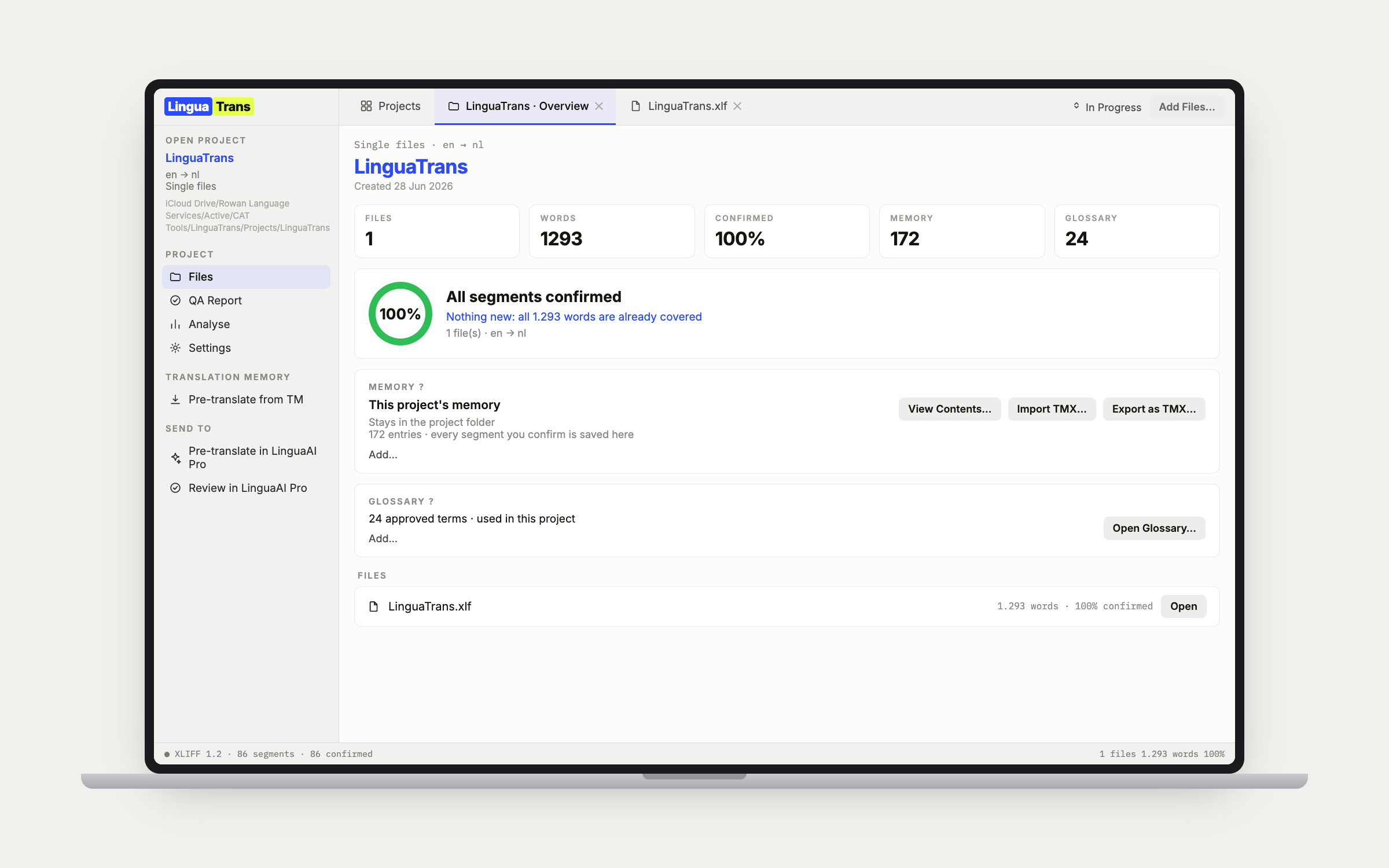 LinguaTrans project overview with word counts, memory, glossary and file list