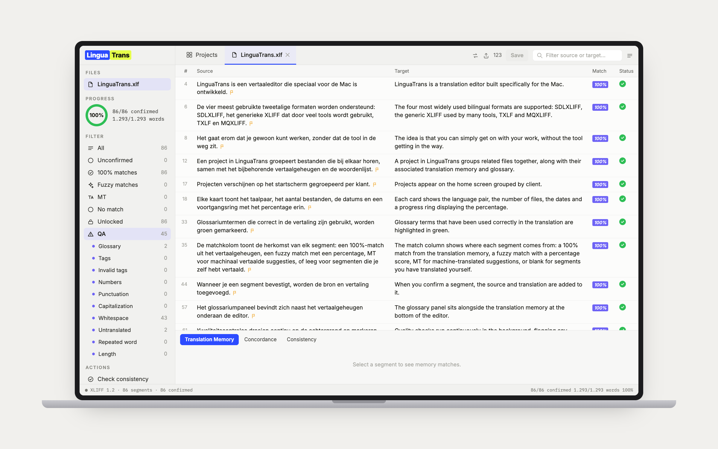LinguaTrans editor filtered to the QA bucket, with each check listed in the sidebar